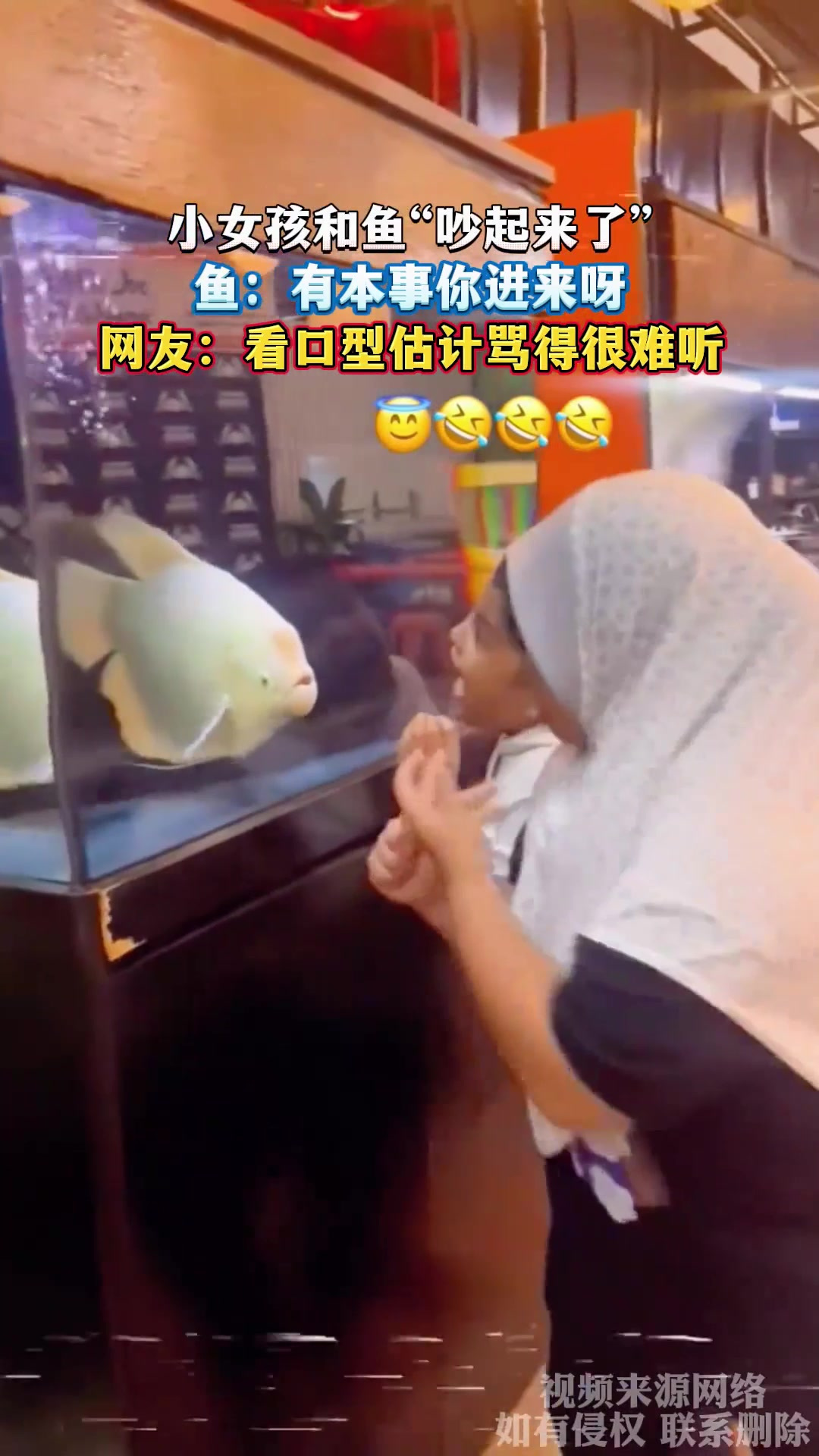 小女孩和鱼“吵起来了”,鱼:有本事你进来呀,网友:看口型估计