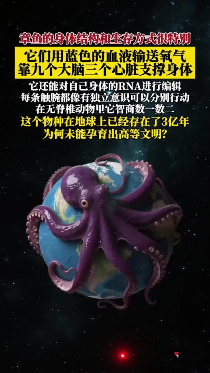 章鱼的身体结构和生存方式很特别,为何未能孕育出高等文明