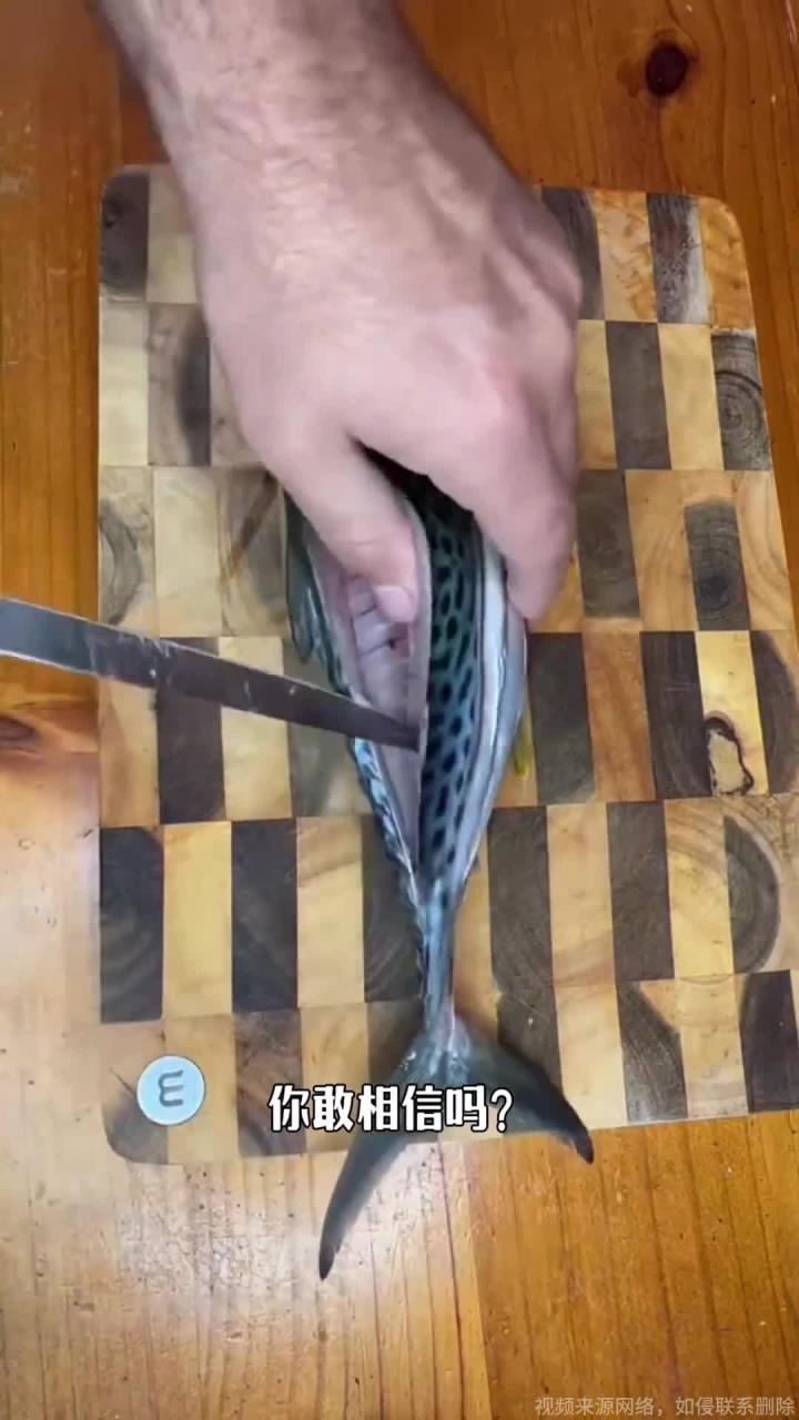 鲣鱼刀到底有多锋利