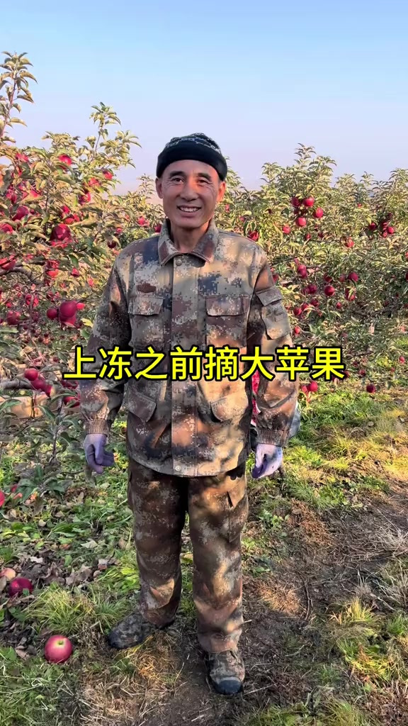 后天这边零下六度了大苹果都得摘下来