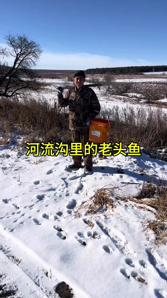 炖老头鱼吃
