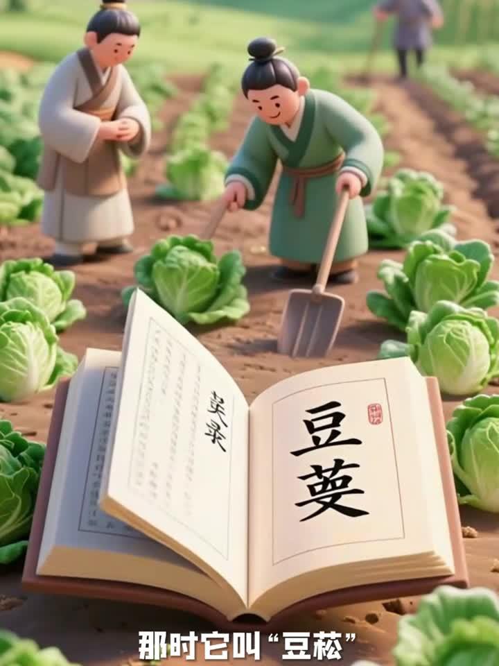 白菜的来源以及营养价值