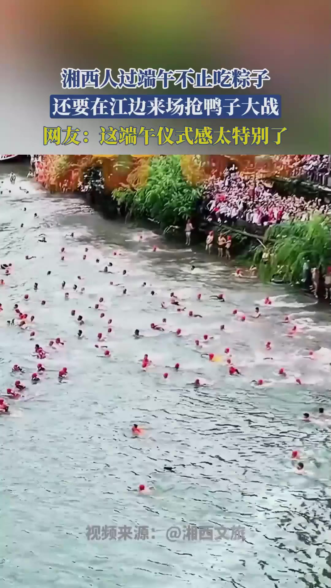 湘西人过端午不止吃粽子,还要在江边来场抢鸭子大战