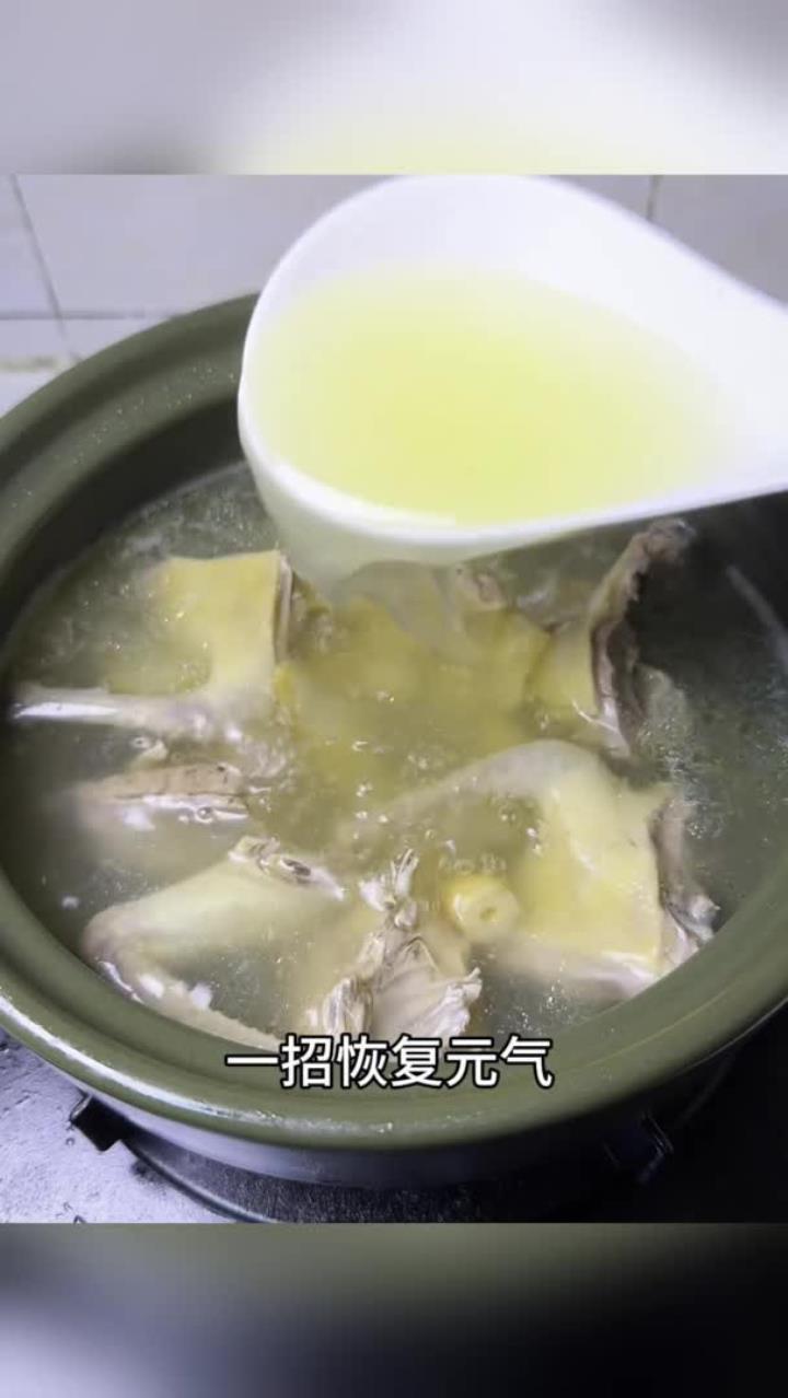 鸽子汤煲汤广东靓汤滋补养生