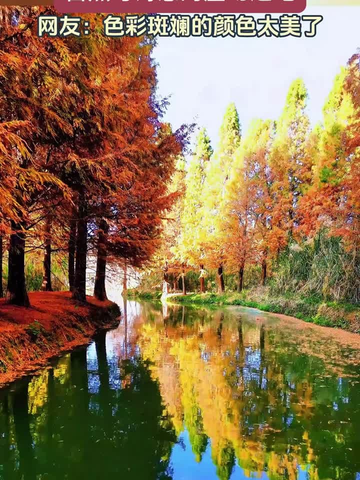 昆明捞鱼河湿地公园,自然与诗意的梦幻之地。旅游推荐