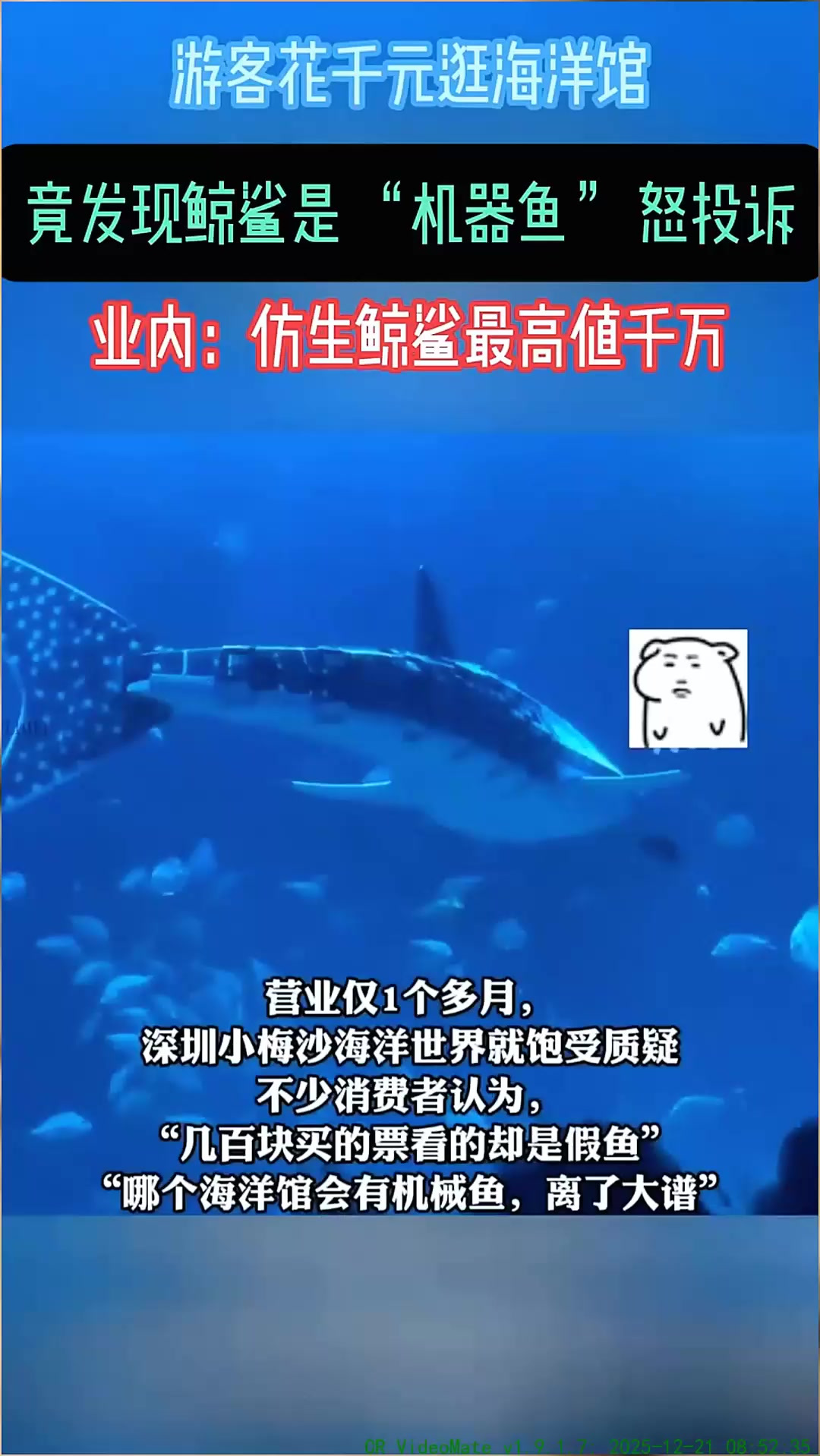 花了近千元,你给我看假鱼?海洋馆里的鲸鲨是机器鱼,游客怒了