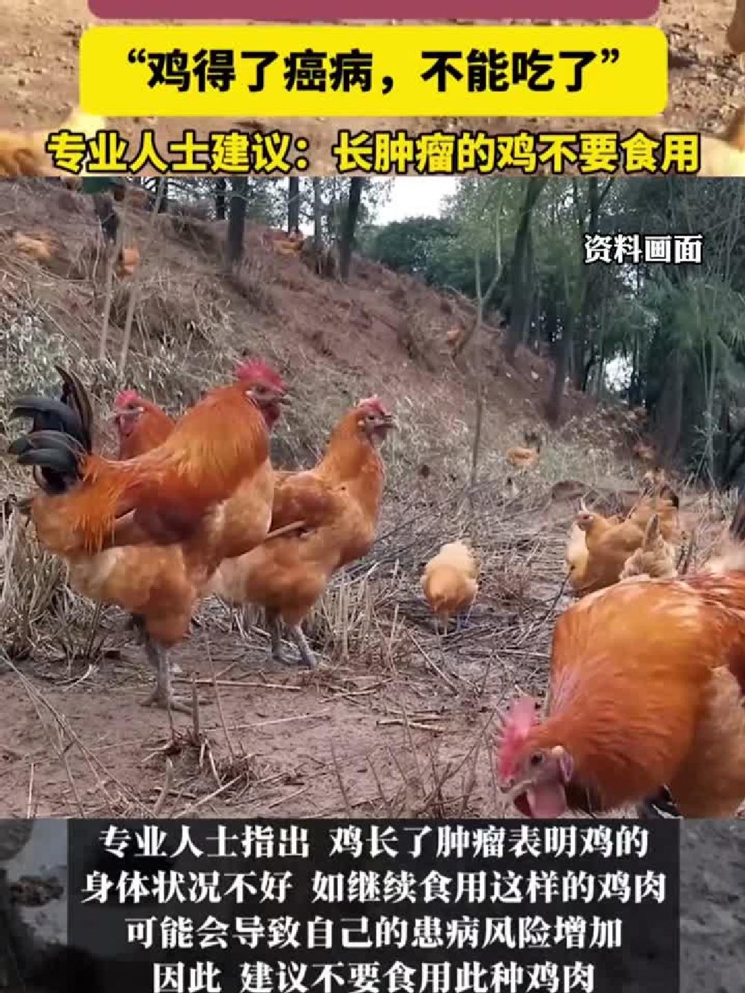 #健康扬帆季#奶奶杀鸡发现鸡长肿瘤，还能吃吗？