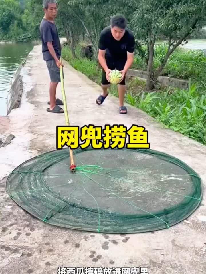 自制网兜放入西瓜捞鱼