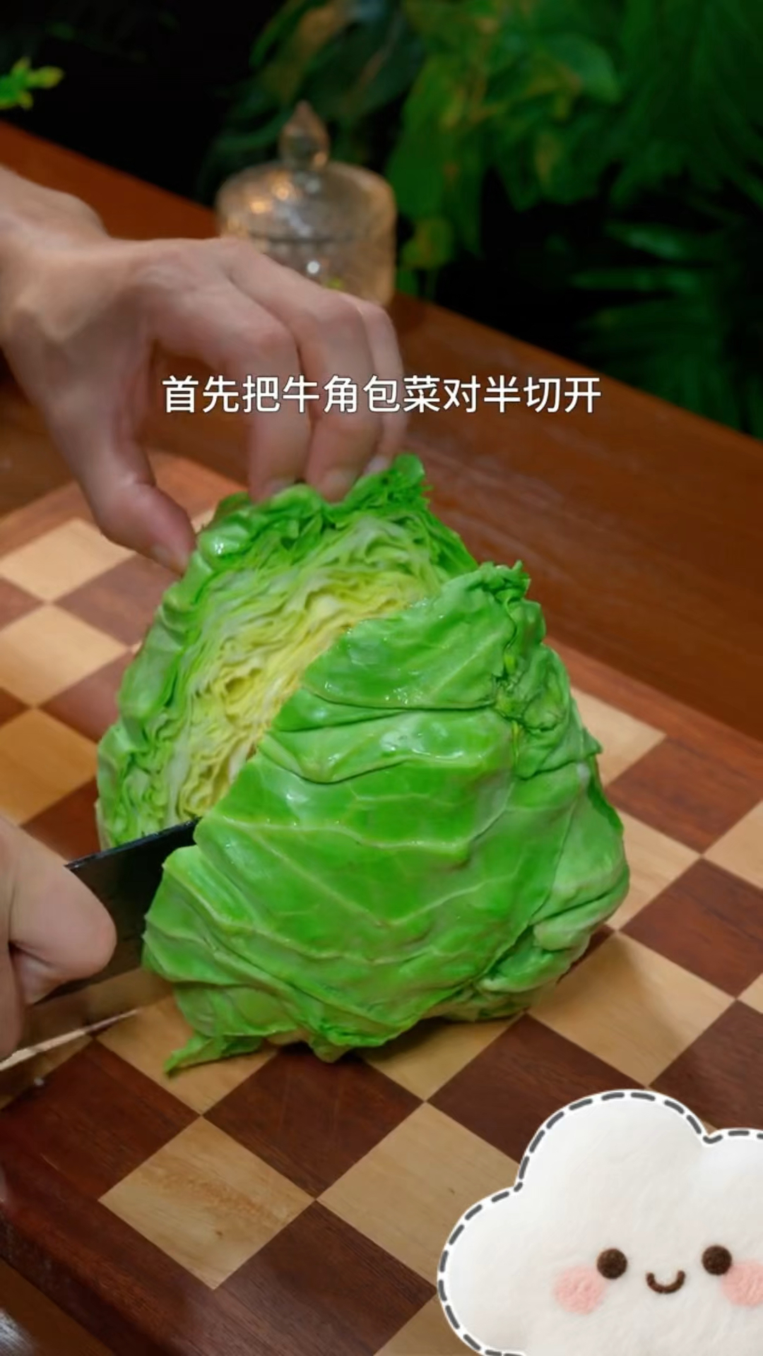然后我这个包菜的做法让你的家常菜丰富起来