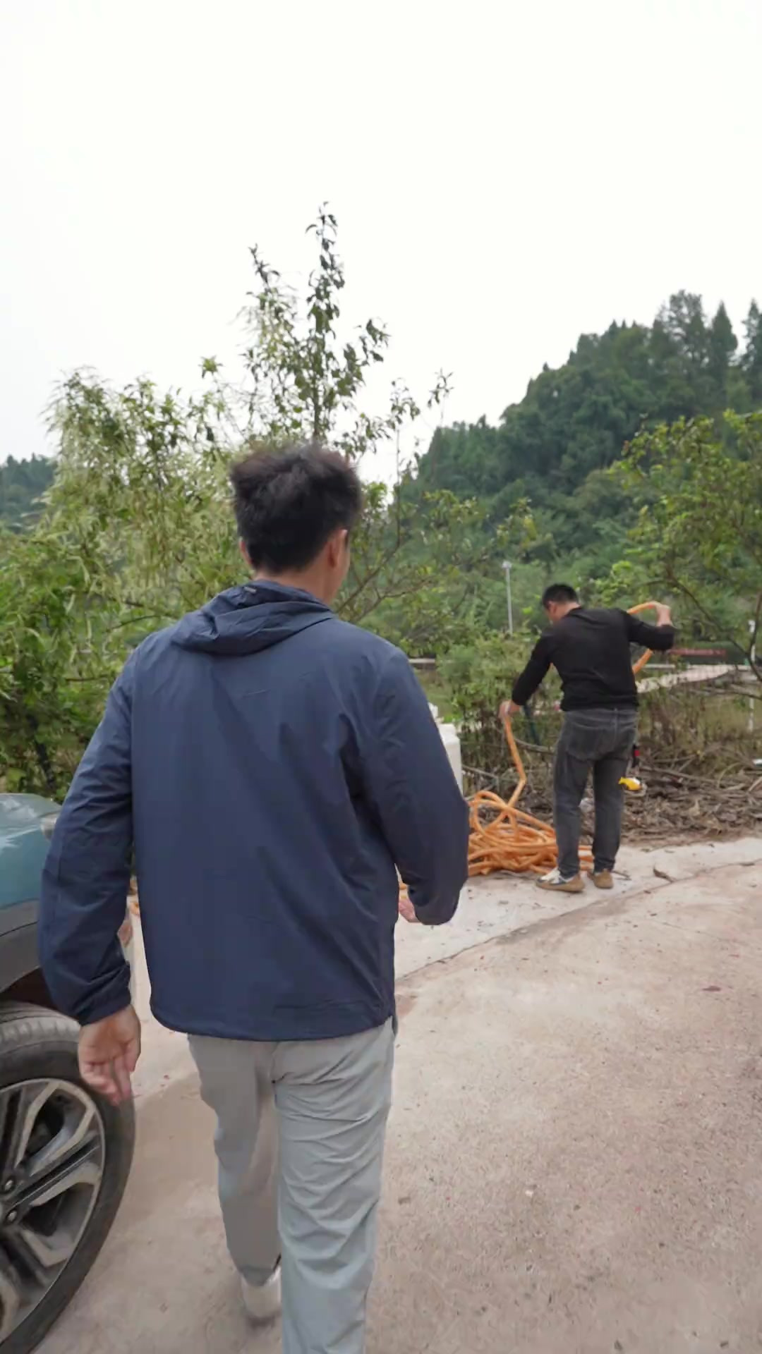 听到这个回鱼价格瞬间有精神了