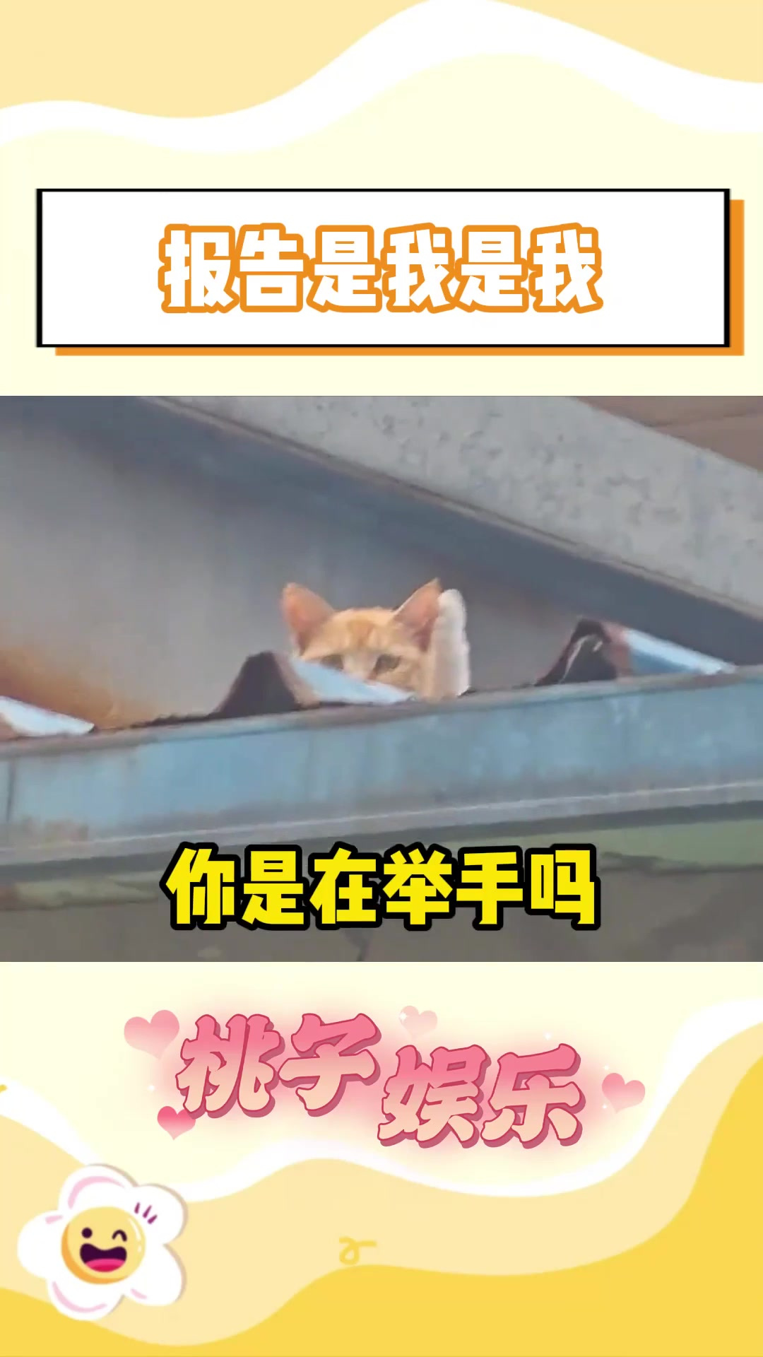 小猫你可以吃小鱼干!