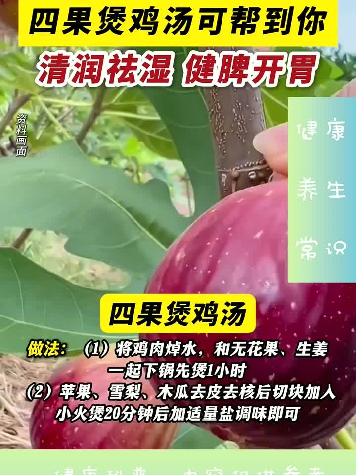 闷热天喝四果鸡汤帮你祛湿健脾胃口更好