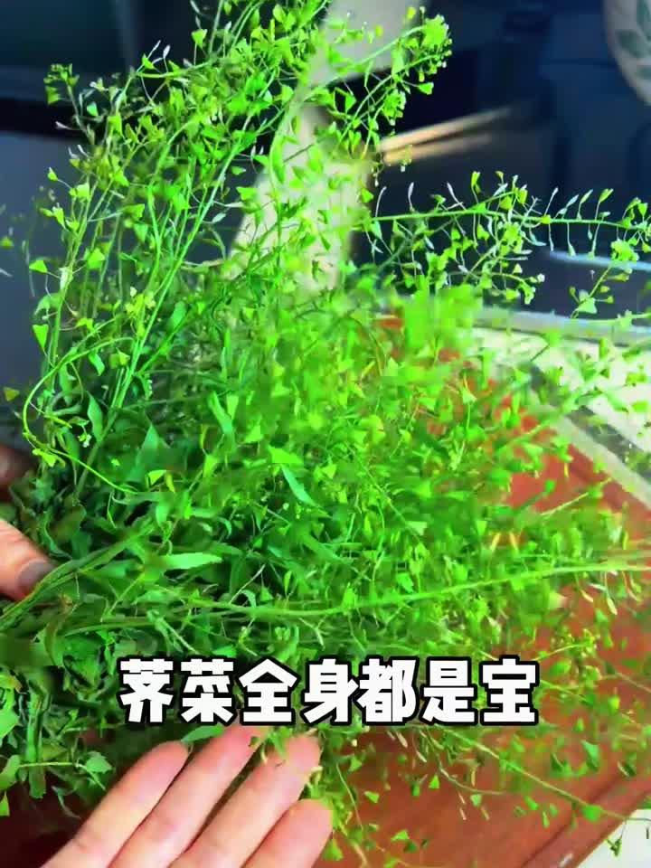 荠菜花煮鸡蛋，三月三养生秘诀揭秘
