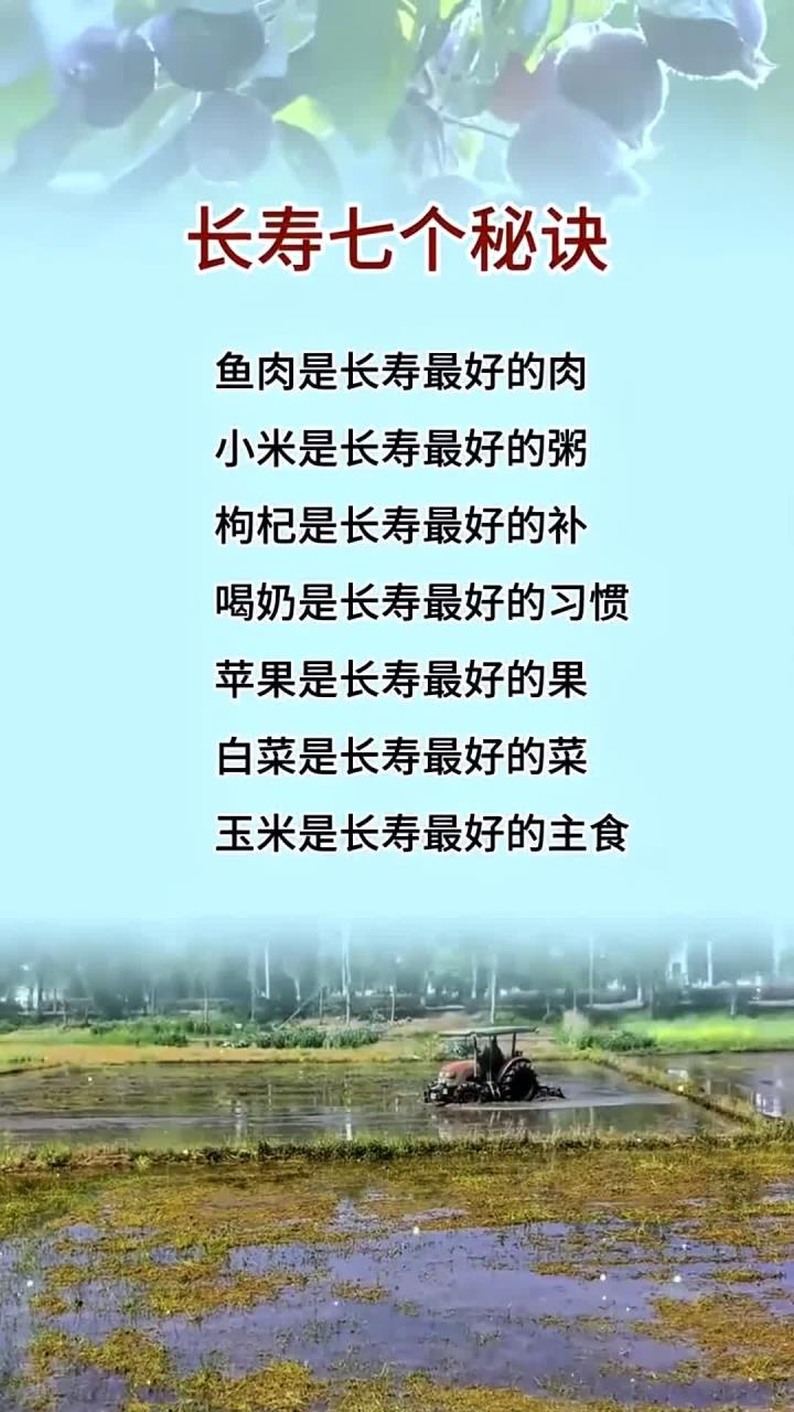 长寿七个秘诀,小米是长寿最好的粥,白菜是长寿最好的菜