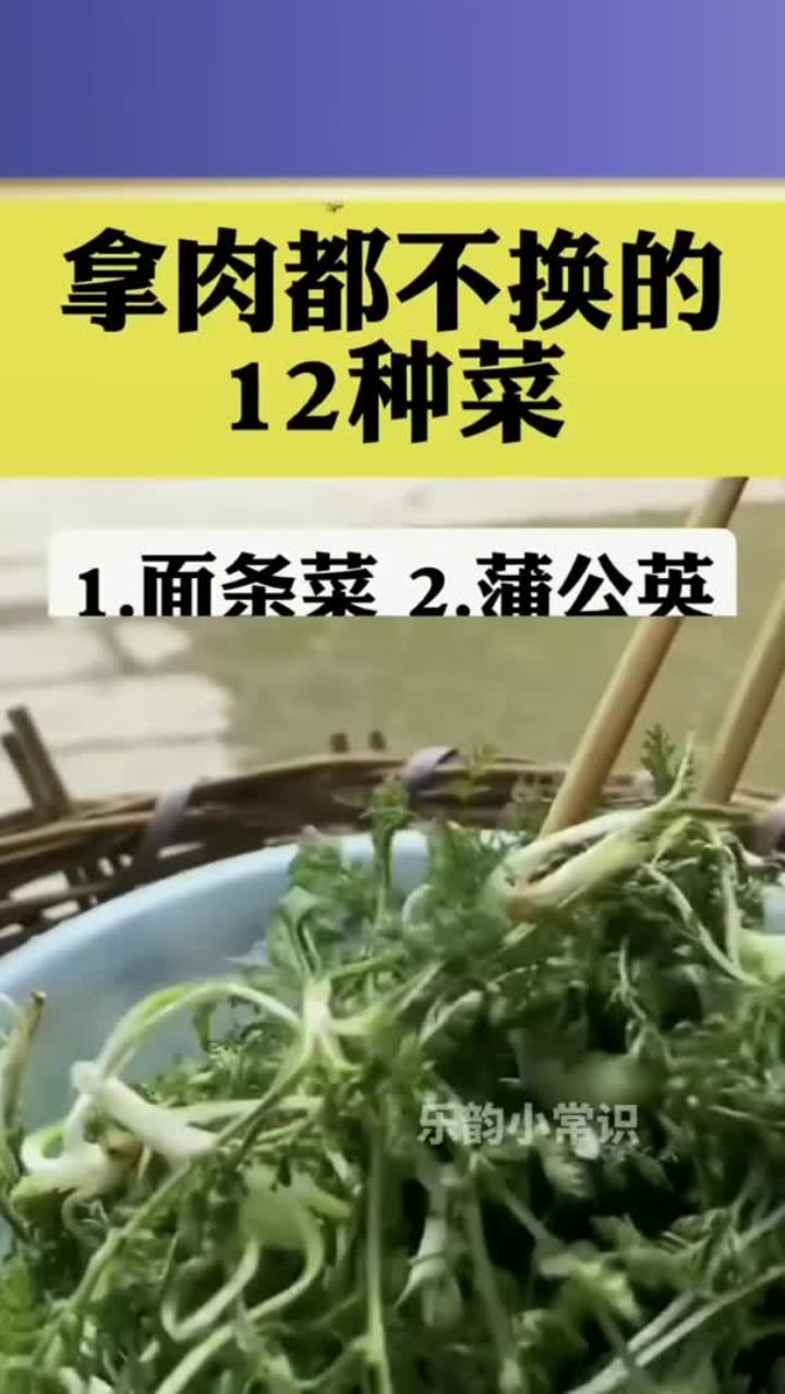 拿肉都不换的十二种菜