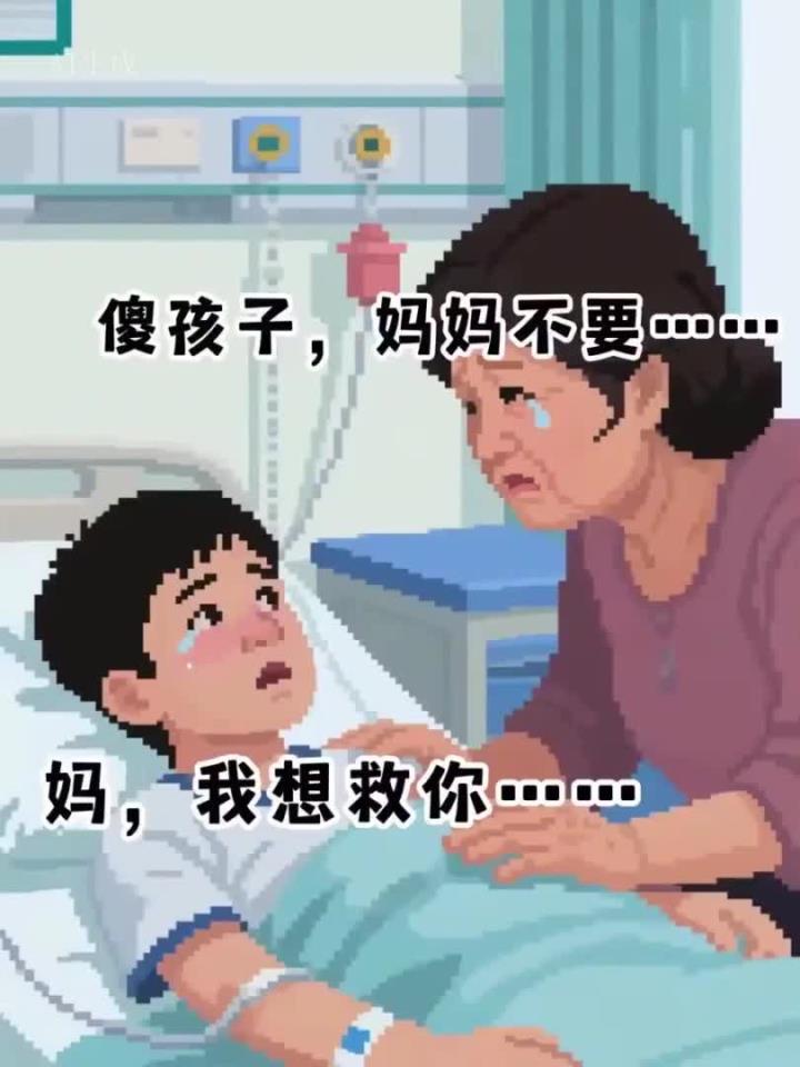 真实案例:绝症少年割肾救母