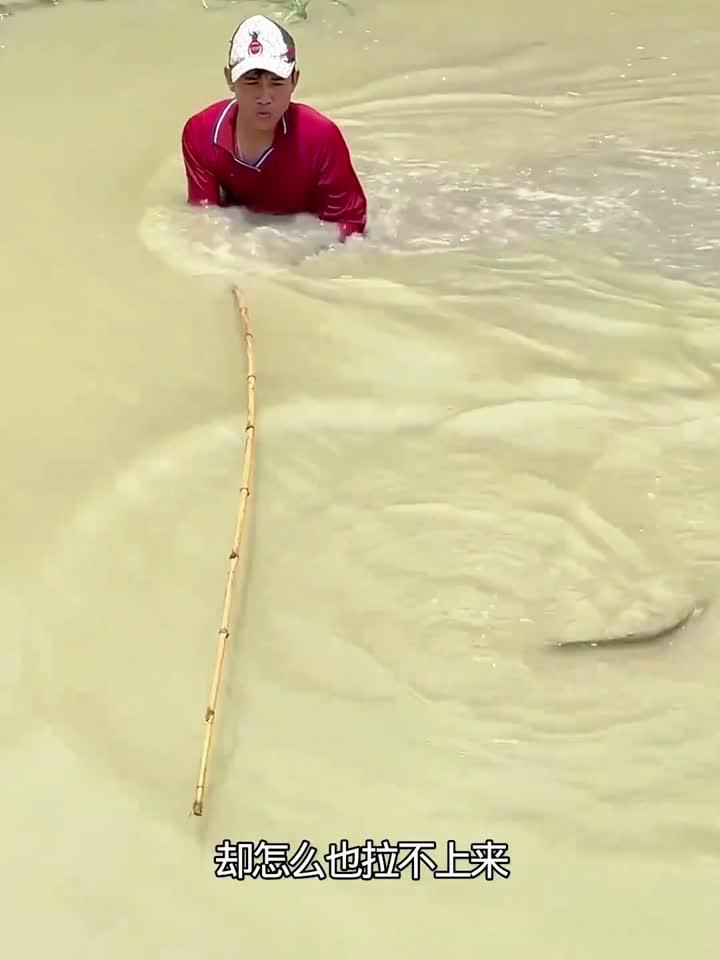 河边钓到一条大鱼,却怎么也拉不上岸来