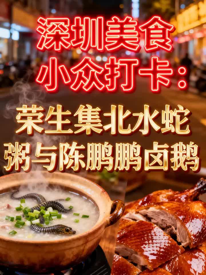 深圳美食小众打卡：荣生集北水蛇粥与陈鹏鹏卤鹅