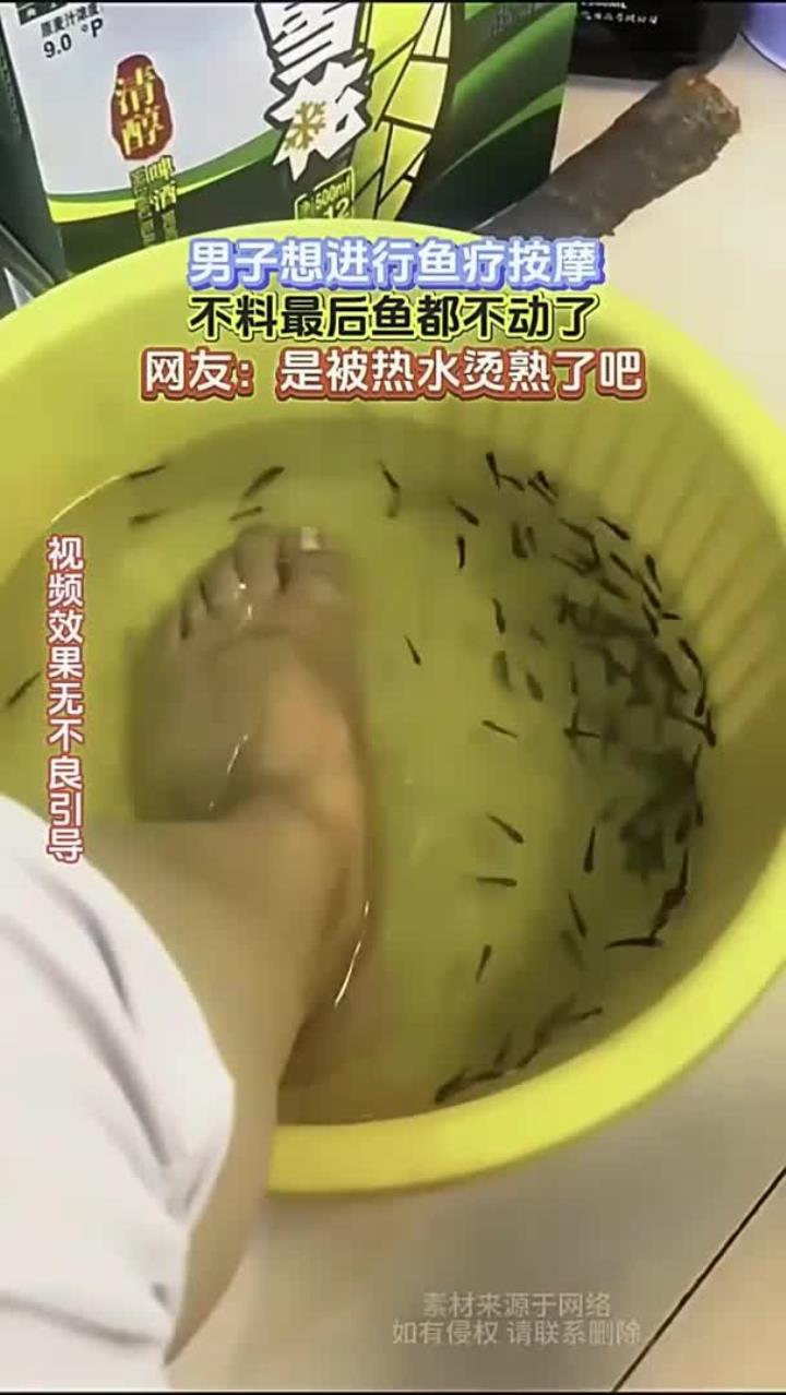 养生：鱼疗养生须注意 安全健康第一位