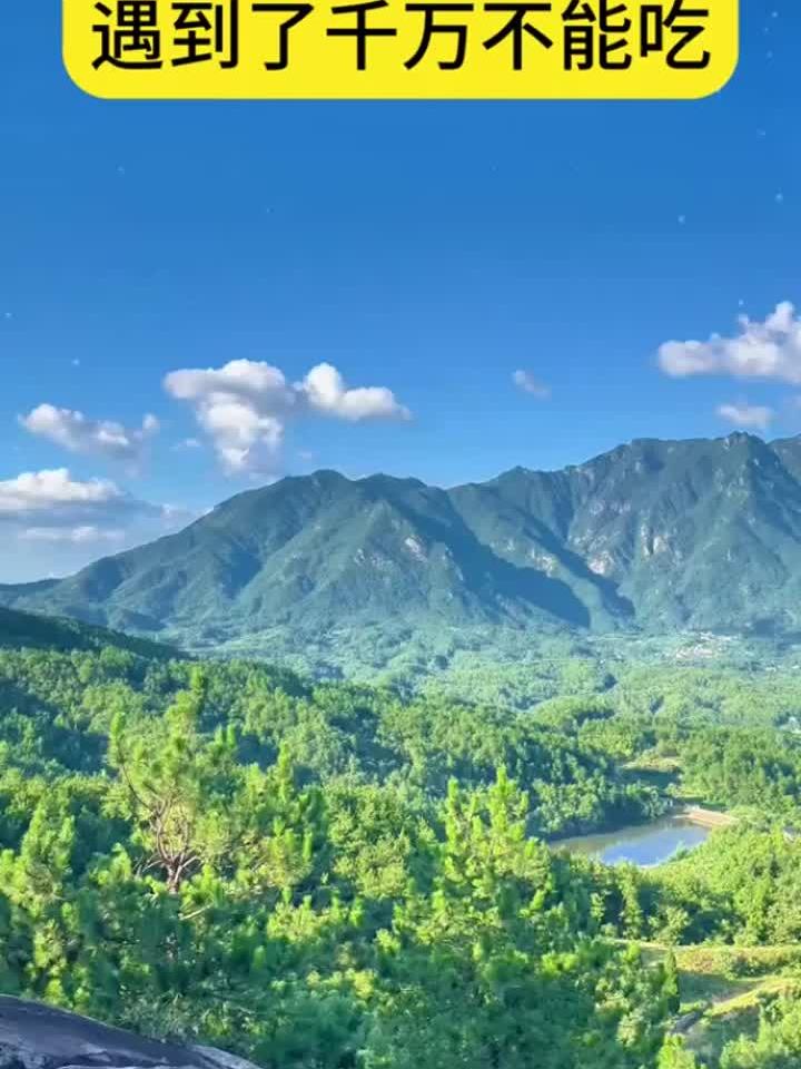 10种蔬菜有剧毒,误食可能致命!