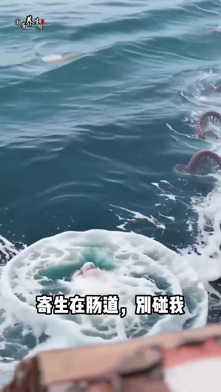 健康养生:易携带寄生虫的食物