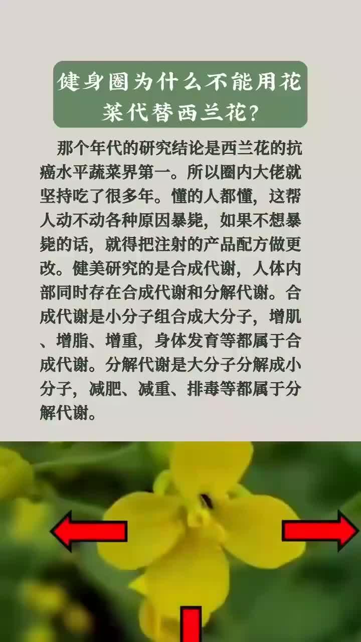 健康干货:花菜西兰花营养大比拼