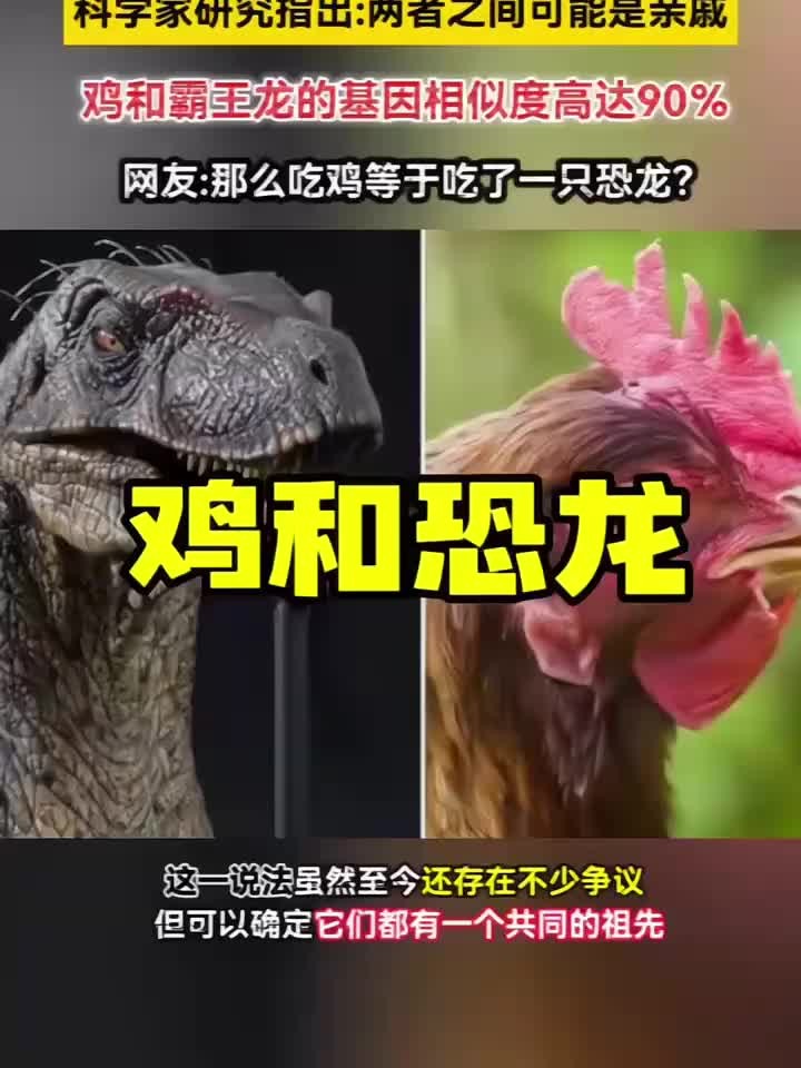 鸡的祖先竟然是霸王龙？研究发现两者基因相似度高达90％
