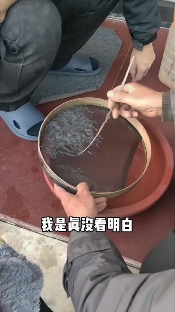 你在这赶鱼那