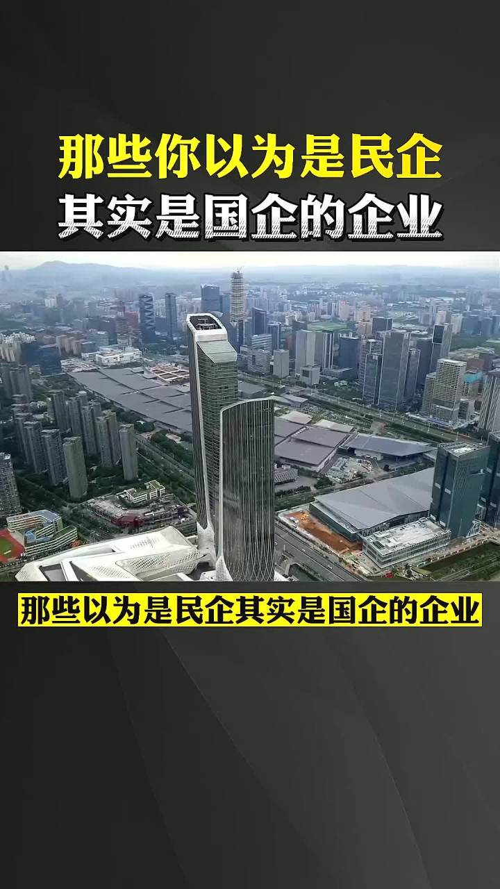 那些你以为是民企其实是国企的企业