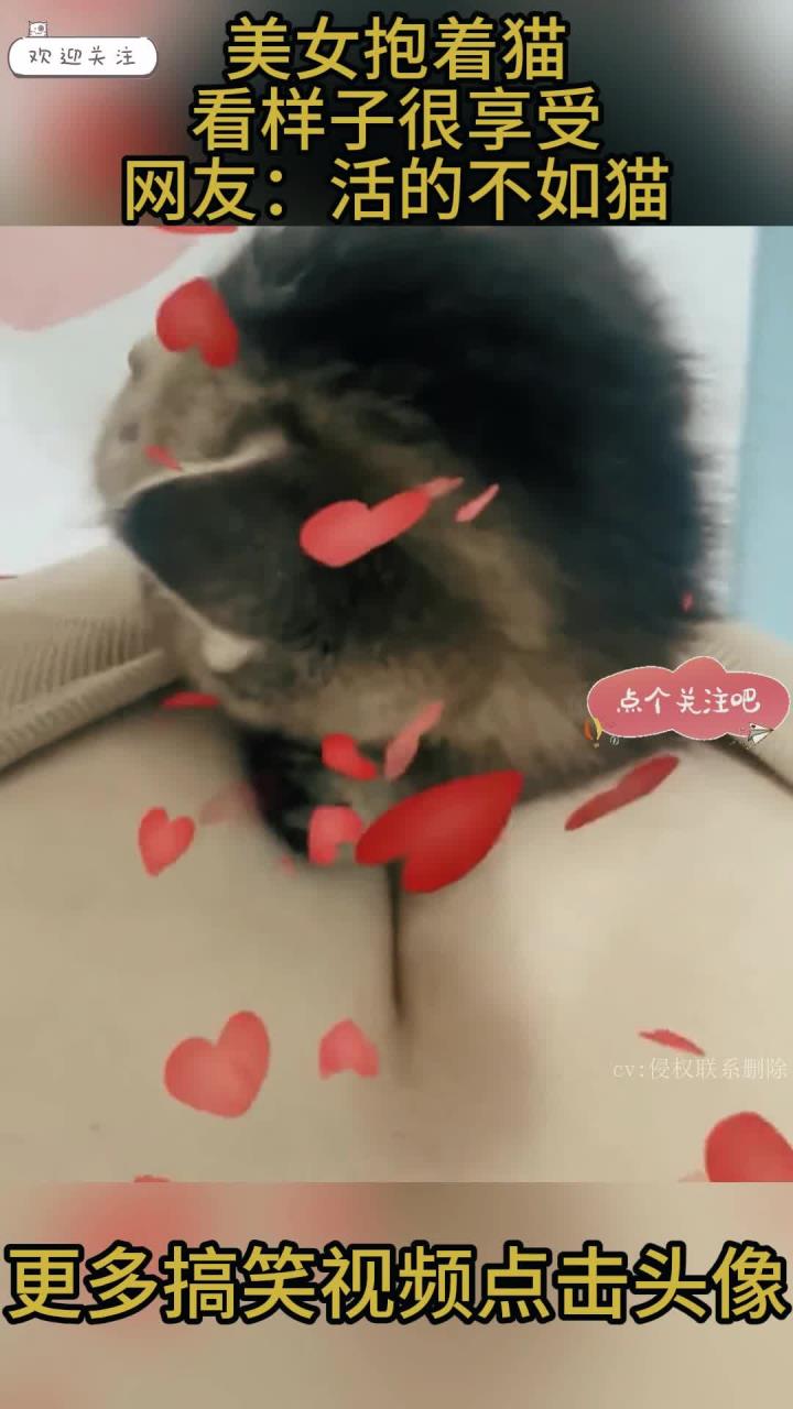 美女抱着猫,看样子很享受,网友:活的不如猫!
