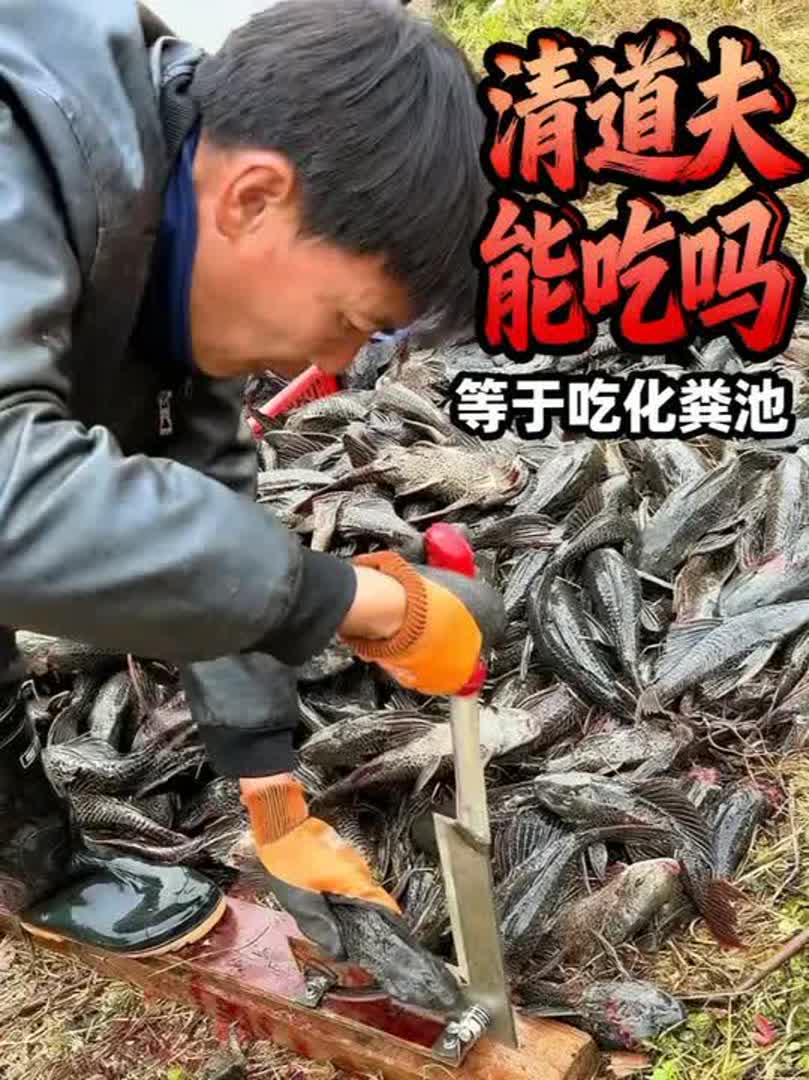 分享各种鱼，你知道哪些是不能吃的吗？