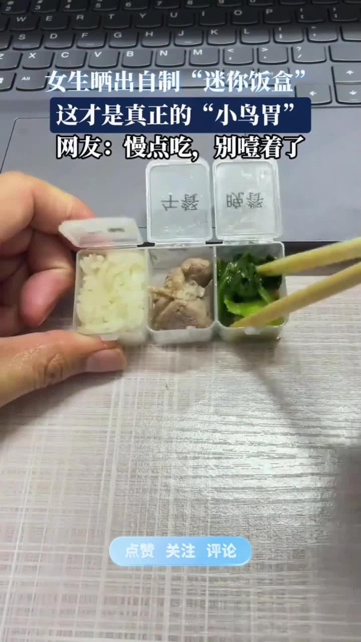 女生晒出自制“迷你饭盒”,这才是真正的“小鸟胃”