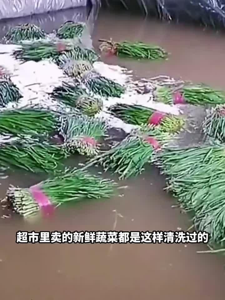 人工下水清洗蔬菜,这也太卖力了!