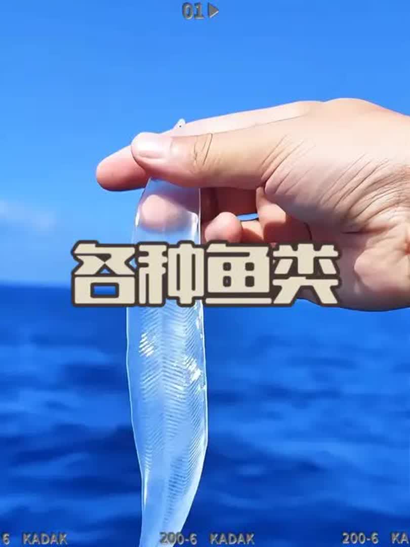 带你科普各种鱼