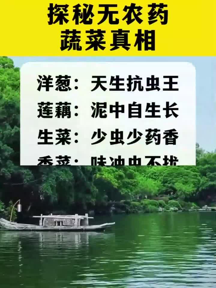 揭秘无农药蔬菜的真相