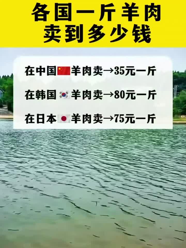 各国一斤羊肉卖到多少钱?