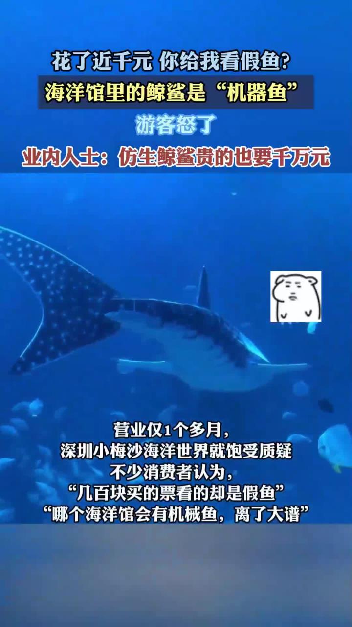 花了近千元，你给我看假鱼？海洋馆里的鲸鲨是机器鱼，游客怒了
