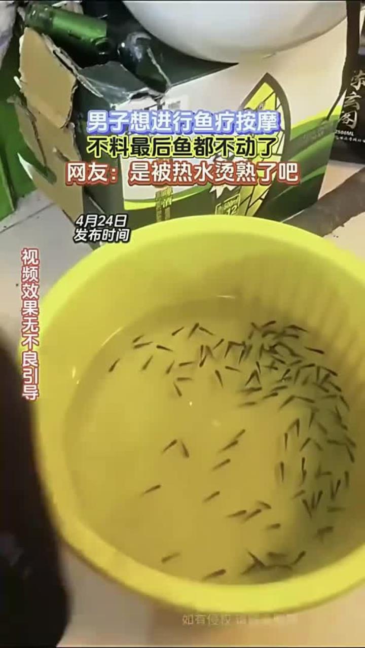 养生小科普:鱼疗养生须注意 安全健康第一位