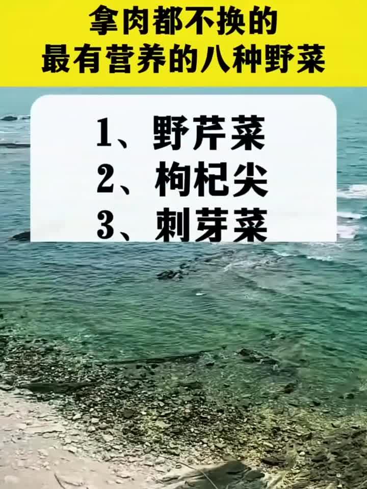 哪有都不换的最有营养的八种野菜