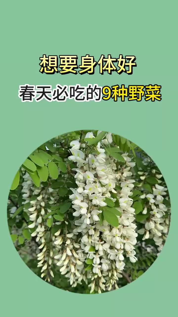春天记得吃这9种野菜