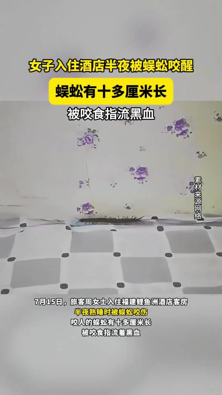 女子入住酒店半夜被蜈蚣咬醒