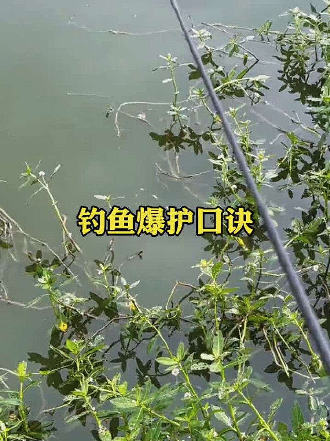 钓鱼爆护口诀