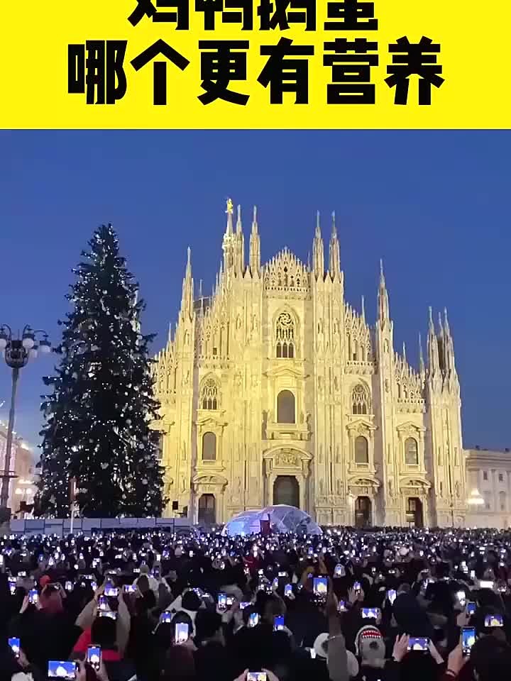 鸡鸭鹅蛋大比拼！到底哪一个营养更胜一筹