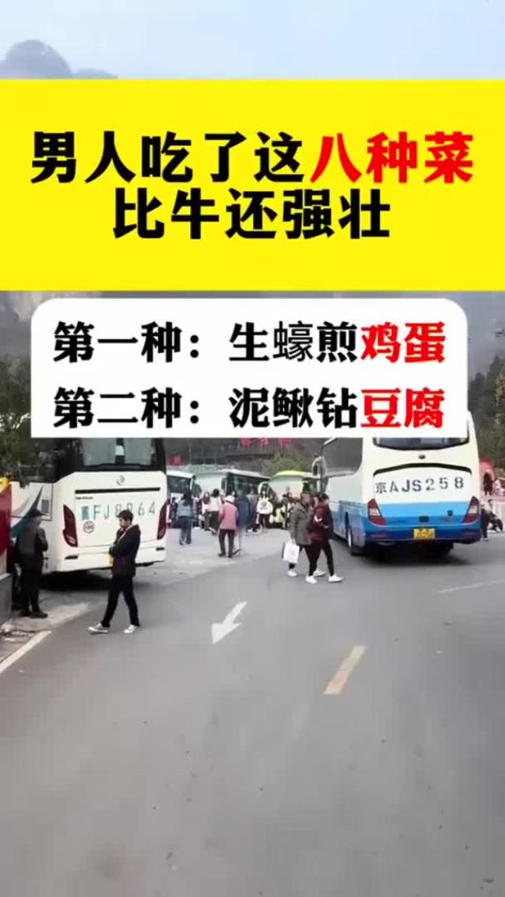 养生宝典：八道养生菜谱助力健康生活
