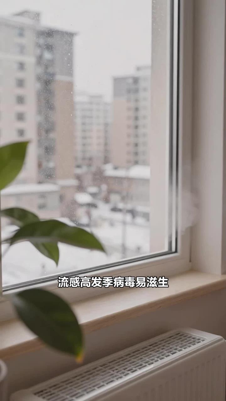 流感食护喝绿豆冬瓜汤,清热利湿,减病毒滋生