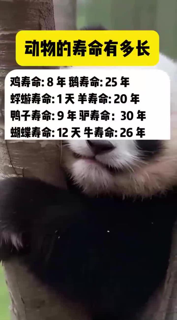 动物寿命有多长 你知道吗
