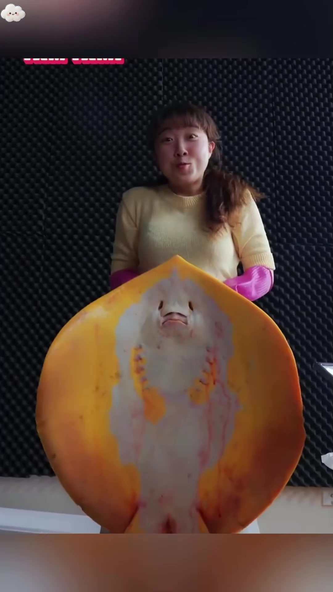 韩国人是有多喜欢吃鳐鱼肝，你敢吃鳐鱼肝刺身吗？真是很不可思