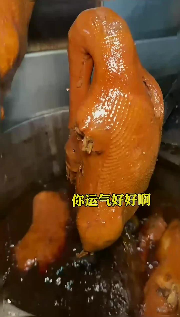 潮汕卤鹅!一个鹅头1280?服了!