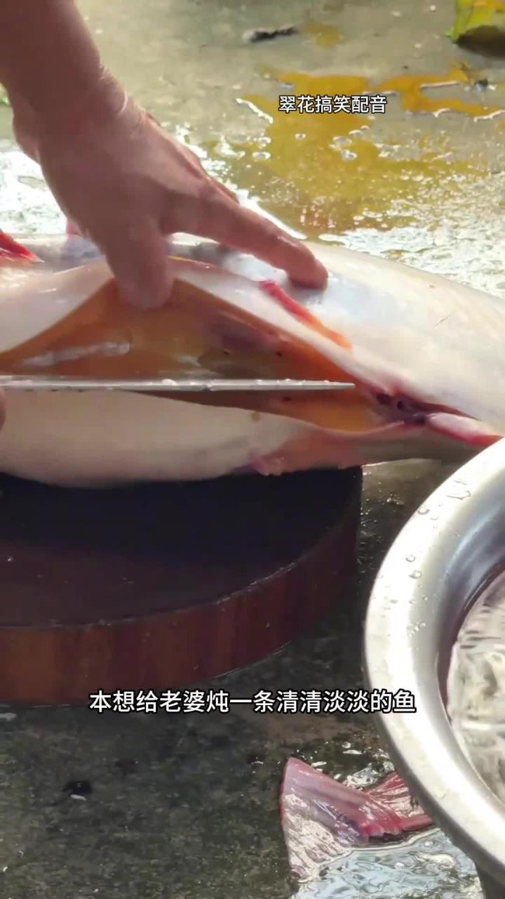 难得一遇的黄油鱼,太不可思议了