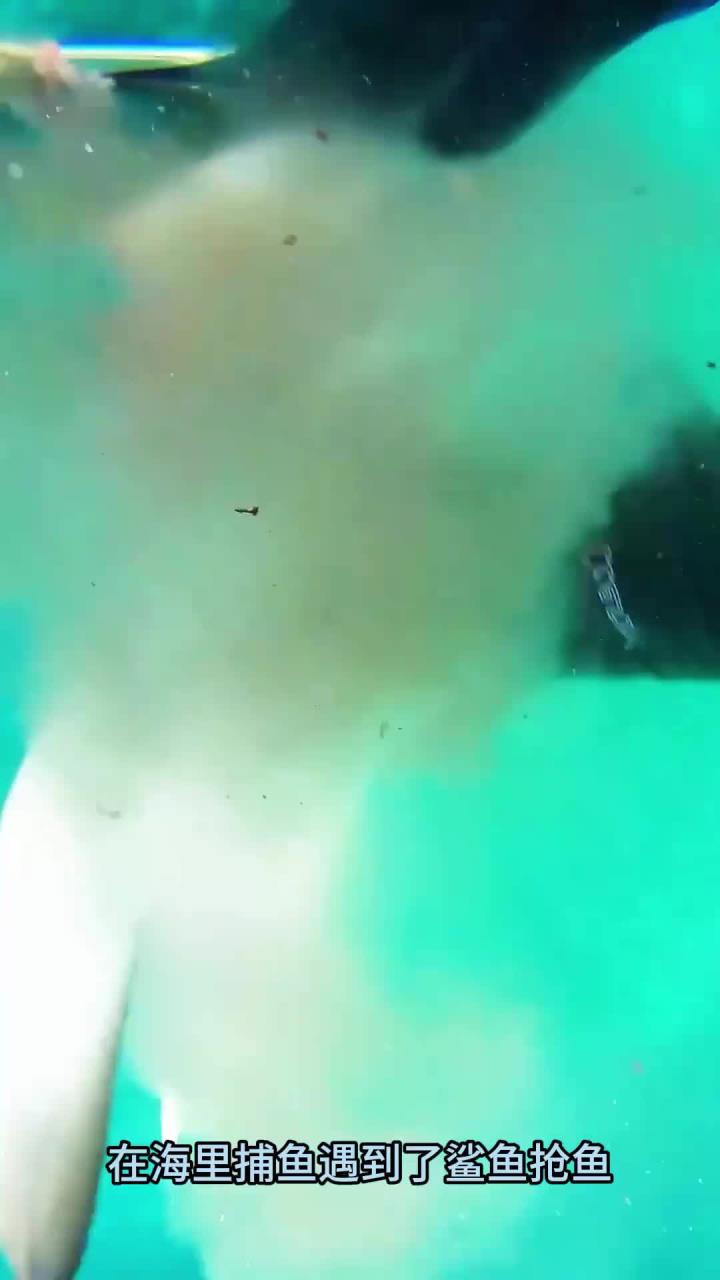 在海里捕鱼，遇到鲨鱼抢鱼是有多可怕？差点手不保